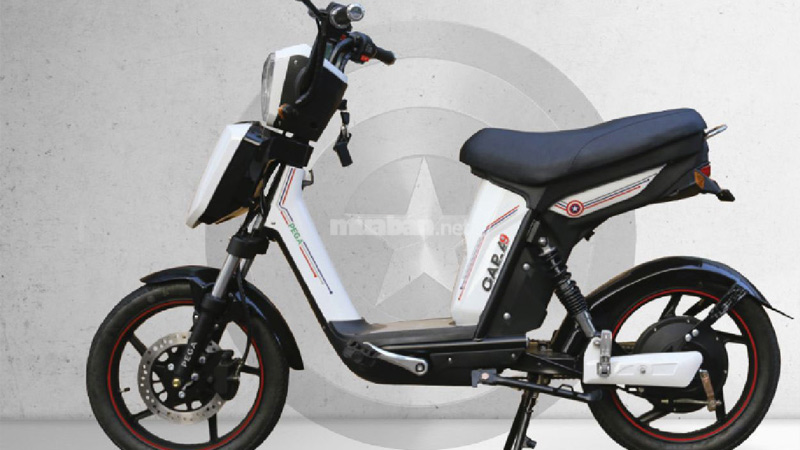 Xe đạp điện Pega New Plus 2025