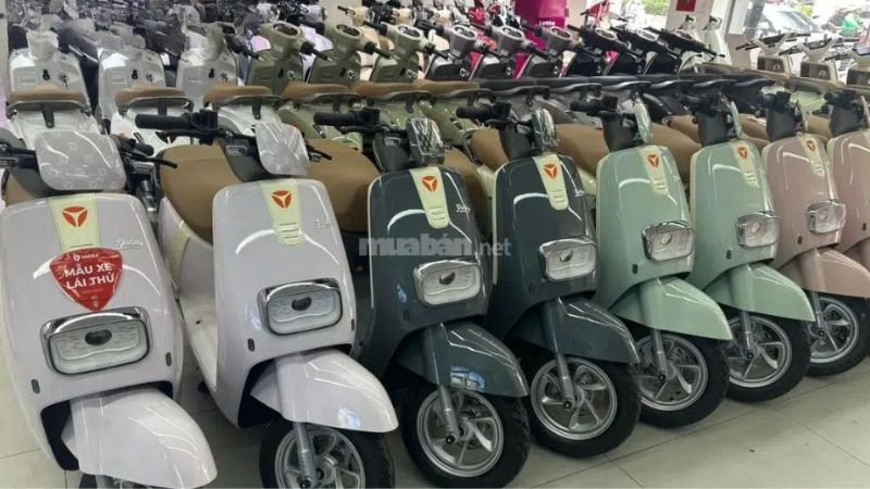 Hướng dẫn sử dụng và bảo quản xe điện Gogo
