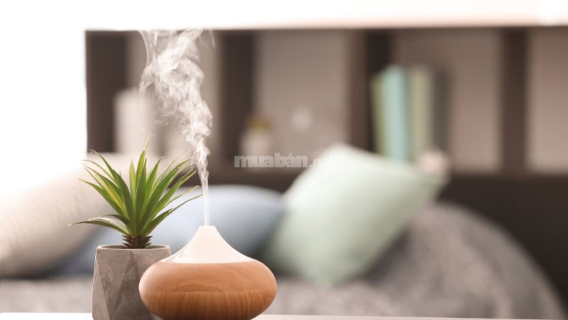 Giữ không khí thoáng mát, mùi hương dễ chịu.