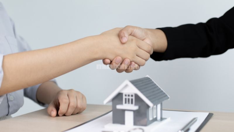 Hãy cân nhắc và so sánh nhiều dự án trước khi thuê