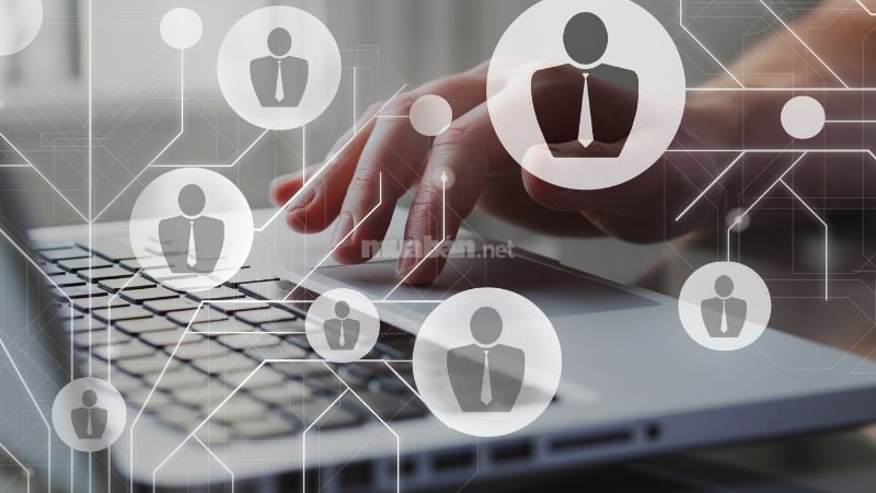 Sàng lọc ứng viên tự động với công cụ CoDX Candidate Pool AI