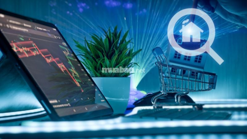 Nghiên cứu thị trường, định giá hợp lý