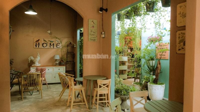 Góc Tịnh Yên – không gian mộc mạc, xanh mát cho những ai tìm chút bình yên.