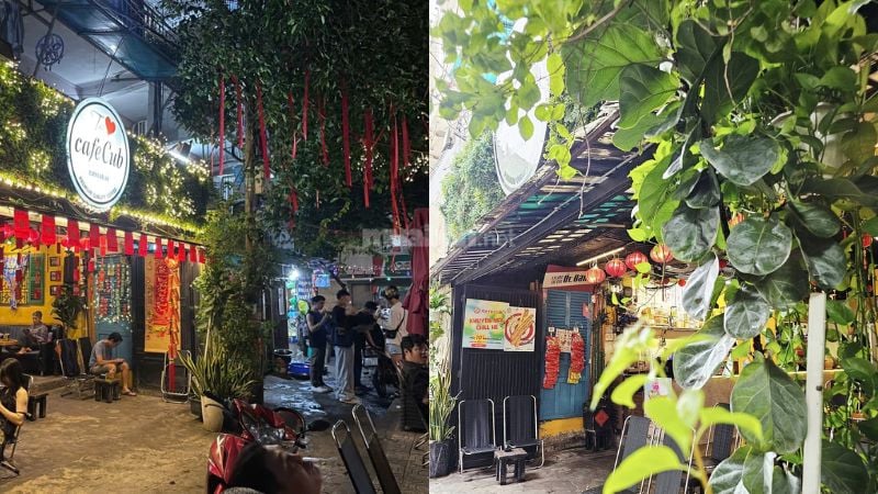 CafeCub - không gian nhiều cây xanh