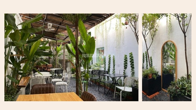 Không gian phủ đầy cây xanh mát mẻ tại quán Coffee A KOÓNG