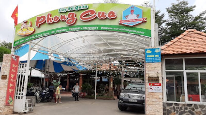 Mau anh dai dien 12