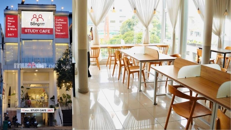 Sống Cà Phê - Study Coffee