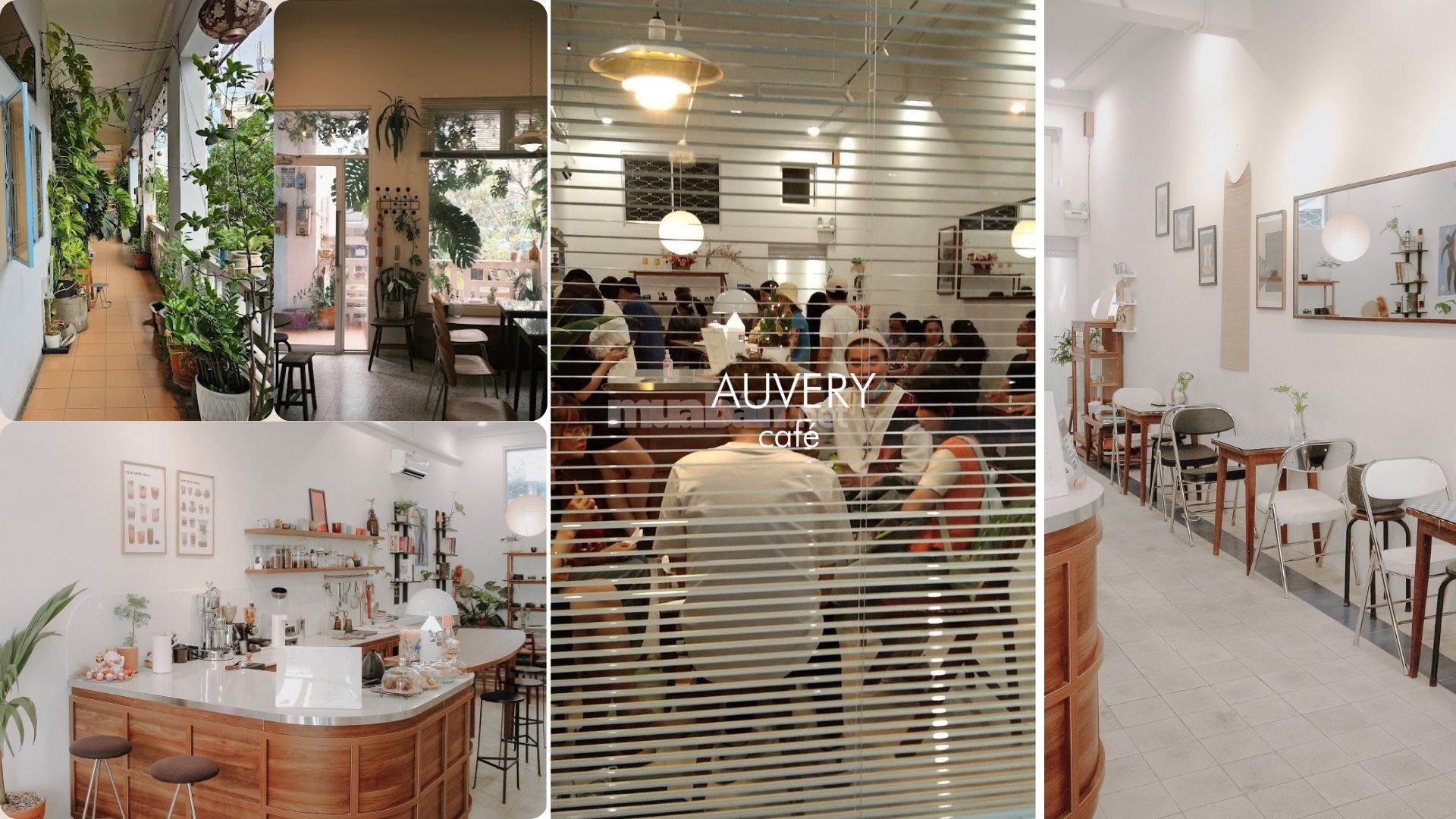 Không gian của Auvery Cafe mang phong cách Hàn Quốc nhẹ nhàng, tông trắng – be chủ đạo, điểm xuyết cây xanh và ánh sáng tự nhiên