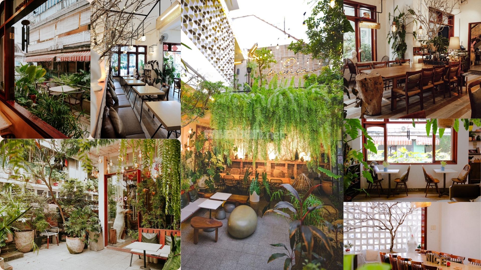 Oromia Coffee & Lounge nổi bật với không gian xanh, hồ cá Koi và những mảng tường kính lớn nhìn ra vườn