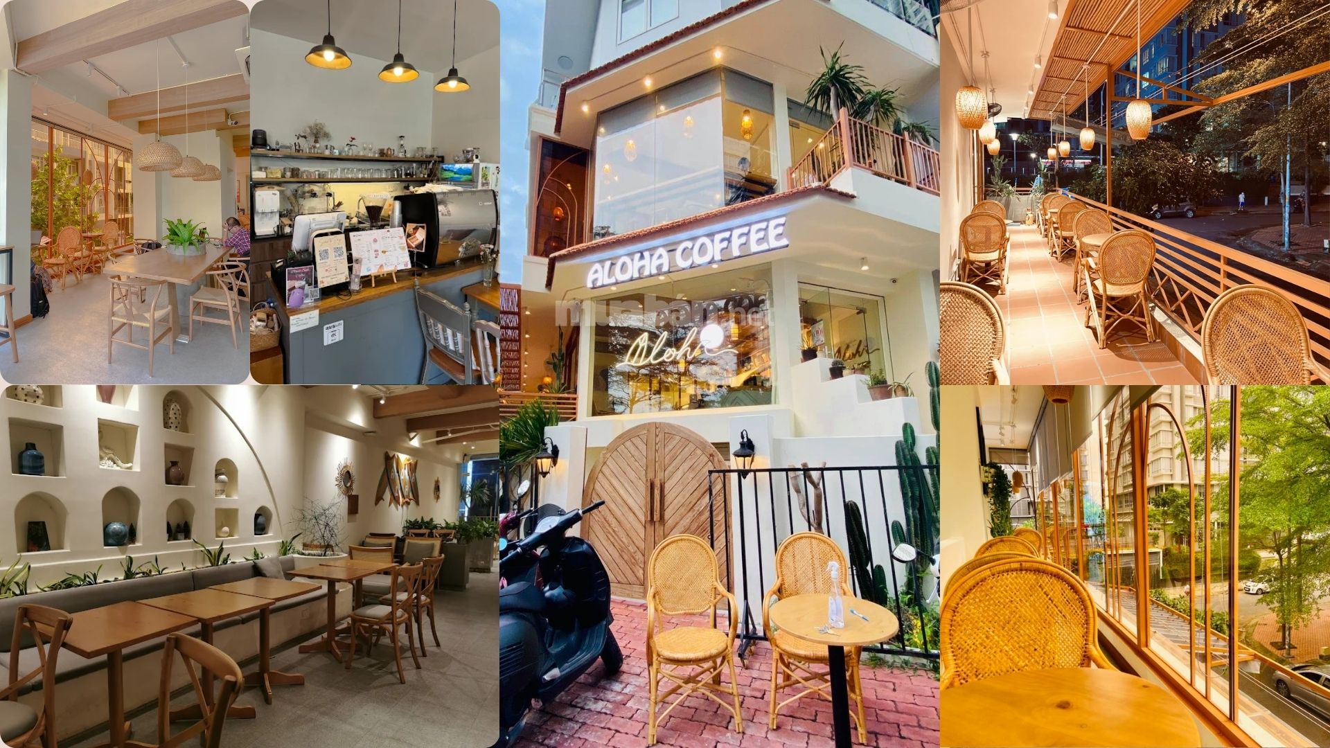 Aloha Coffee mang phong cách trẻ trung, tươi sáng với cảm hứng nhiệt đới
