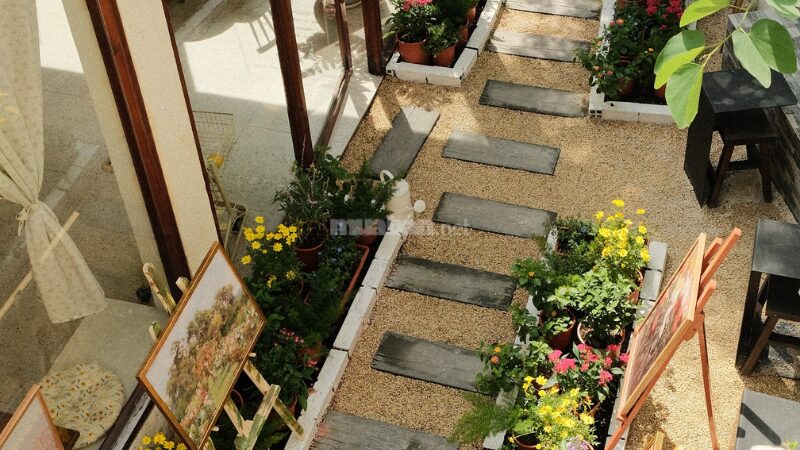 TNiB Cafe được ưa chuộng bởi không gian yên tĩnh, tinh tế
