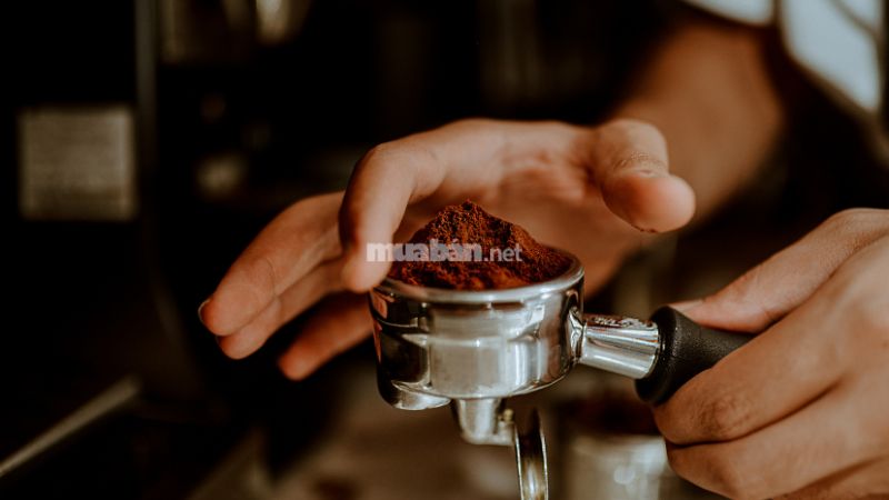 Bật mí câu chuyện mở quán cà phê thành công nhờ tìm mặt bằng trên Muaban.net Những ngày gặt hái quả ngọt đã đến