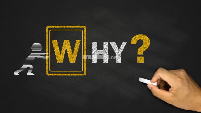 Vì sao chọn Muaban.net để tìm văn phòng cho thuê?