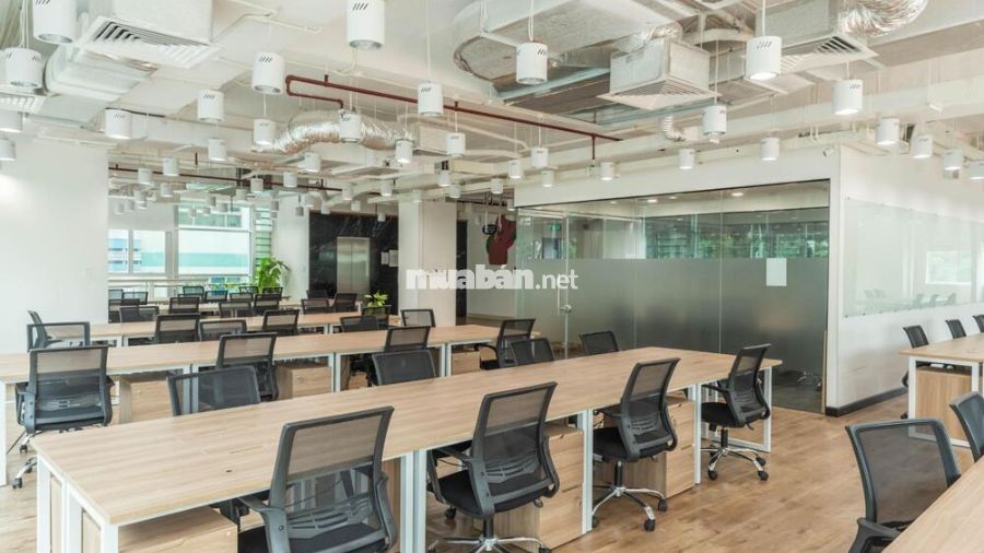 Lời khuyên khi thuê văn phòng ở TP.HCM