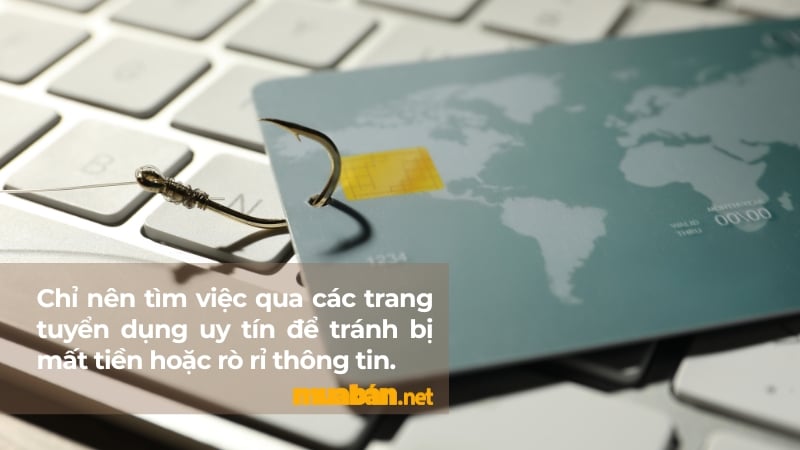 Chỉ nên ứng tuyển việc làm thời vụ Tết tại các trang tuyển dụng uy tín