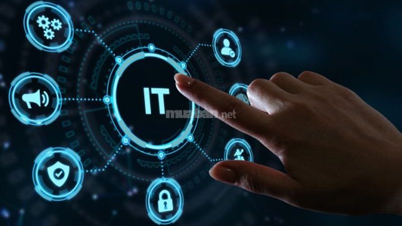 Việt Nam đang thiếu khoảng 200.000 nhân sự trong ngành Công nghệ thông tin, số hóa.