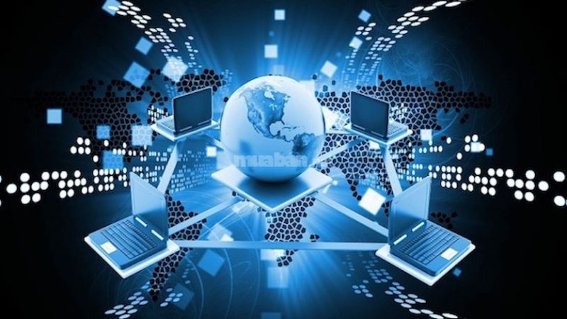 Ngành an ninh mạng hiện đang được Việt Nam đầu tư mạnh và đào tạo vững.