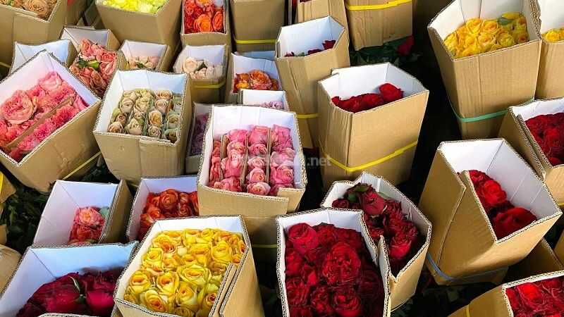 Hoa tươi cũng là một trong những mặt hàng có nhu cầu mua sắm cao