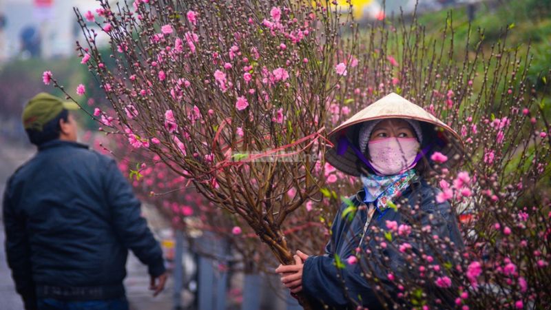Những việc làm ngày Tết dễ kiếm tiền, thu nhập cao nhất Bán hoa ngày Tết