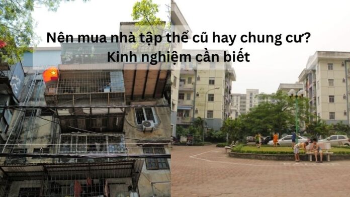 Nên mua nhà tập thể cũ hay chung cư? Kinh nghiệm cần biết
