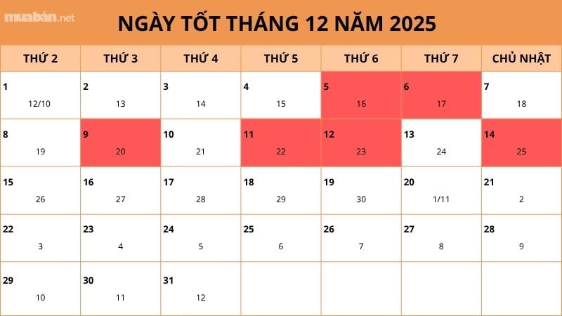 Ngày xấu tháng 12/2025 Dương lịch