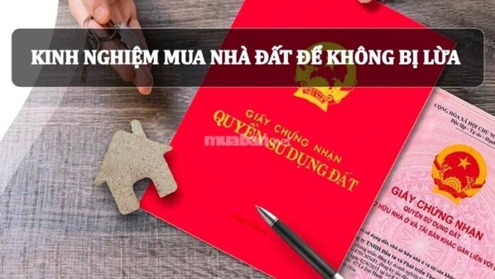 kinh nghiệm mua nhà đất để không bị lừa