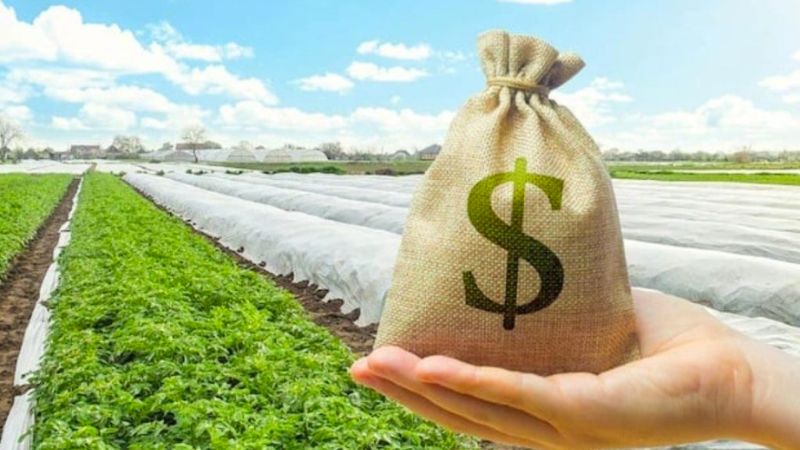 Bảng giá chuyển đổi đất nông nghiệp sang đất thổ cư 2025 giá chuyển đổi không cố định mà phụ thuộc vào nhiều yếu tố khác nhau