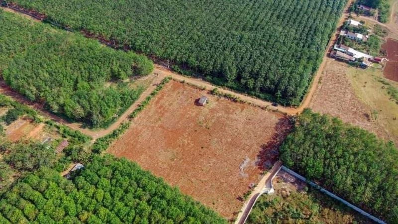 Bảng giá đất Bà Rịa Vũng Tàu mới nhất sau sáp nhập Đất nông nghiệp đang được rao bán tại huyện Đất Đỏ