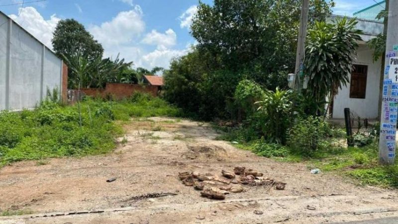 Bảng giá đất Bà Rịa Vũng Tàu mới nhất sau sáp nhập Đất thổ cư đang rao bán gần biển Phước Hải