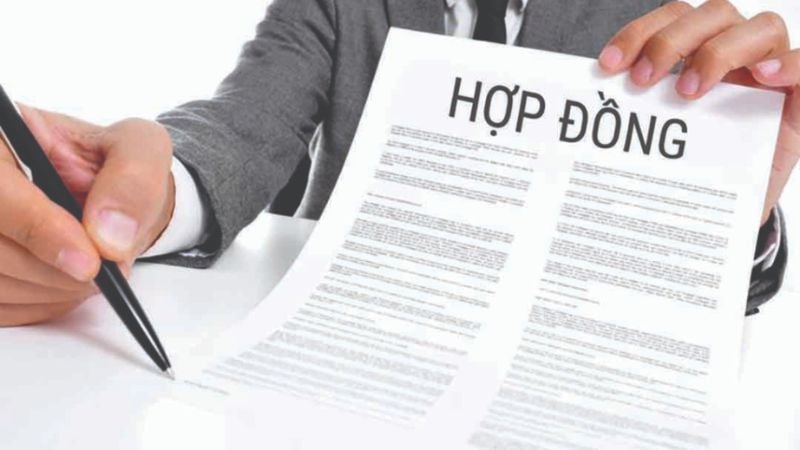 Kiểm tra kỹ từng điều khoản hợp đồng,