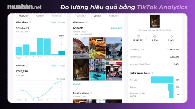 Cách bán hàng trên TikTok chi tiết giúp nổ đơn hiệu quả Đo lường hiệu quả bán hàng bằng công cụ miễn phí TikTok Analytics