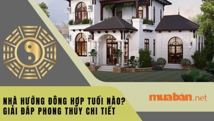 nha-huong-dong-hop-tuoi-nao Nhà hướng Đông hợp tuổi nào? Giải đáp phong thủy chi tiết