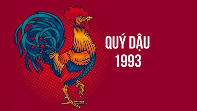 Tuổi 1993 làm nhà năm 2026: Ngày đẹp, lưu ý và cách hóa giải Tổng quan về tuổi Quý Dậu 1993