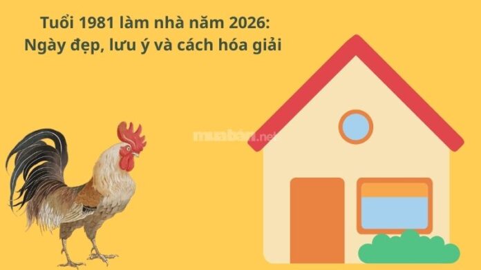 tuoi-1981-lam-nha-nam-2026 Tuổi 1981 làm nhà năm 2026