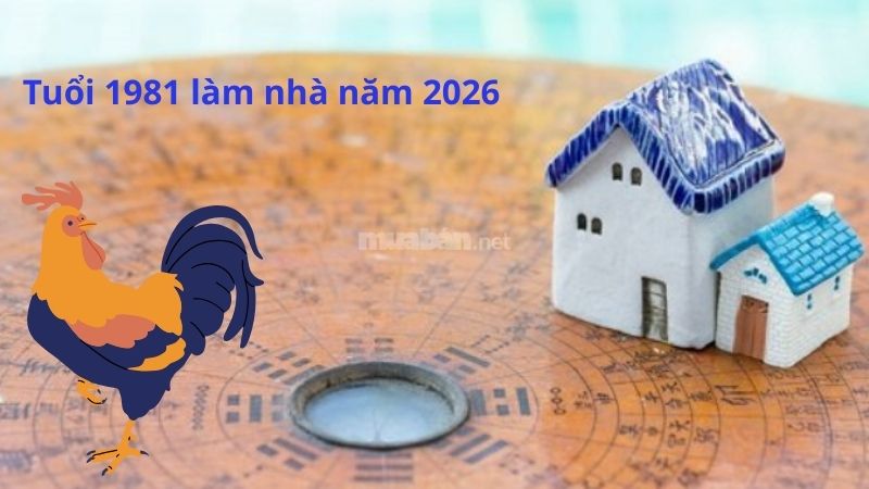 Tuổi 1981 làm nhà năm 2026: Ngày đẹp, lưu ý và cách hóa giải Tuổi 1981 làm nhà năm 2026