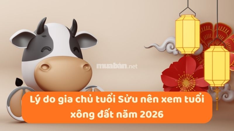 Tuổi xông đất cho gia chủ tuổi Sửu năm 2026 may mắn, tài lộc Lý do gia chủ tuổi Sửu nên xem tuổi xông đất năm 2026