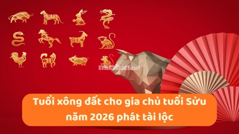 Tuổi xông đất cho gia chủ tuổi Sửu năm 2026 may mắn, tài lộc Tuổi xông đất cho gia chủ tuổi Sửu năm 2026 phát tài lộc