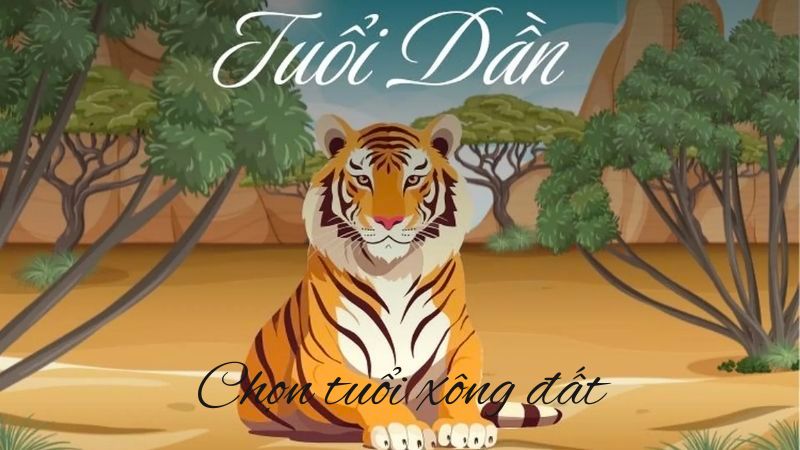 Tuổi xông đất cho gia chủ tuổi Dần năm 2026 may mắn, tài lộc gia chủ tuổi Dần nên xem tuổi xông đất năm 2026