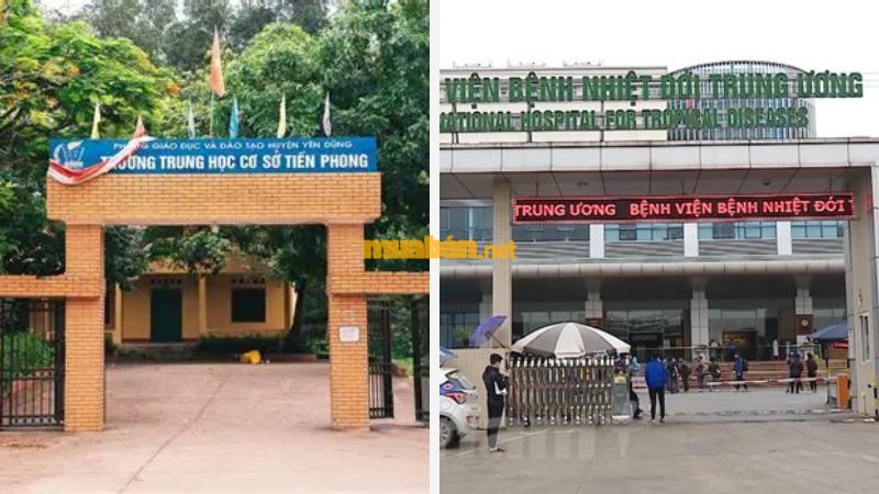 Khu đô thị Hà Phong Mê Linh: Vị trí, tiện ích, tiềm năng dự án Một số tiện ích ngoại khu gần khu đô thị Hà Phong