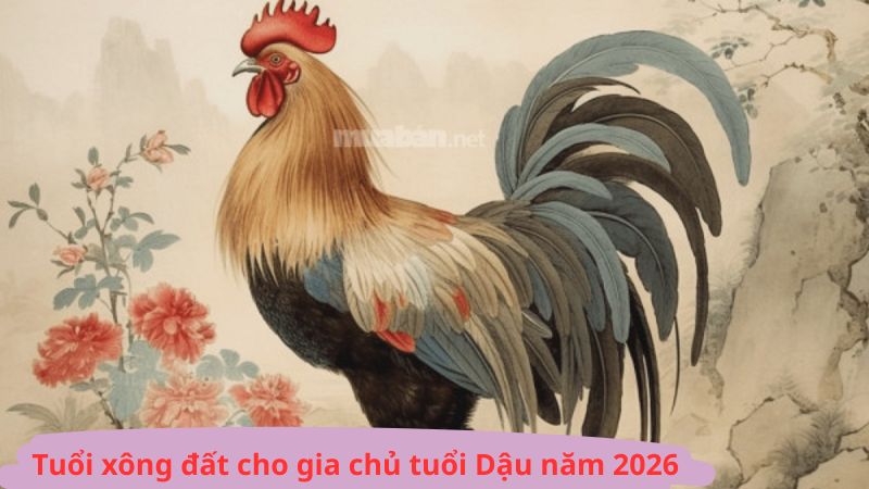 Tuổi xông đất cho gia chủ tuổi Dậu năm 2026 may mắn, tài lộc Tuổi xông đất cho gia chủ tuổi Dậu năm 2026