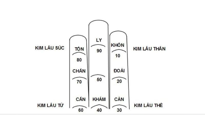 Tuổi 1983 làm nhà năm 2026: Ngày đẹp, lưu ý và cách hóa giải Xem hạn Kim Lâu