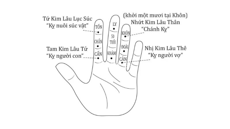 Tuổi 1982 làm nhà năm 2026: Ngày đẹp, lưu ý và cách hóa giải Hạn này được tính đơn giản dựa trên tuổi mụ của gia chủ, lấy tuổi mụ chia cho 9, nếu số dư rơi vào 1, 3, 6 hoặc 8 thì phạm Kim Lâu