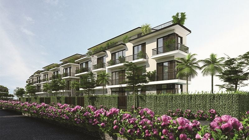 Khu đô thị Eden Rose: Vị trí, tiện ích, tiềm năng dự án Tiềm năng bất động sản tại khu đô thị khu đô thị Eden Rose