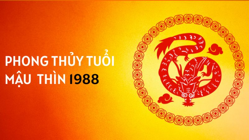 Tuổi 1988 làm nhà năm 2026: Ngày đẹp, lưu ý và cách hóa giải Tổng quan về tuổi Mậu Thìn 1988