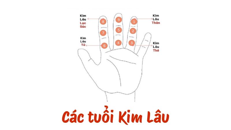 Tuổi 2000 làm nhà năm 2026: Ngày đẹp, lưu ý và cách hóa giải Hạn Kim Lâu được tính bằng cách lấy tuổi mụ chia cho 9, nếu dư 1, 3, 6 hoặc 8 thì phạm Kim Lâu