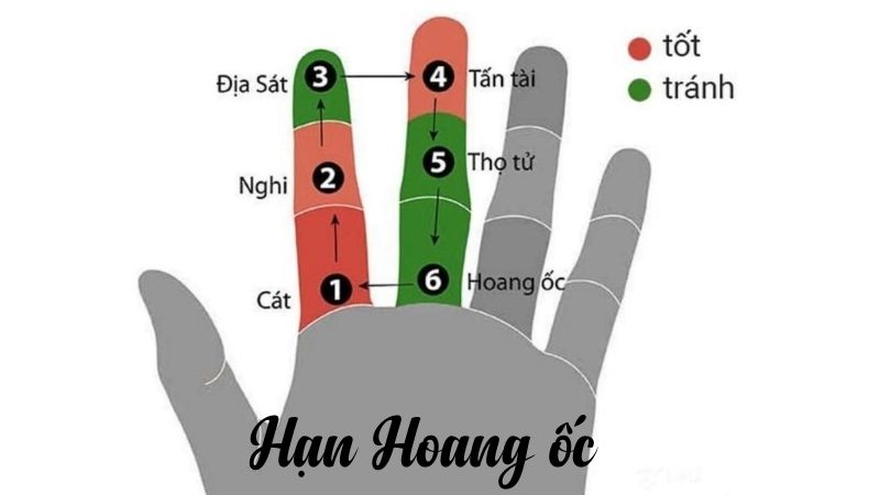 Tuổi 1995 làm nhà năm 2026: Ngày đẹp, lưu ý và cách hóa giải Tuổi Hợi 1995 sẽ gặp hạn Hoang ốc trong năm 2026