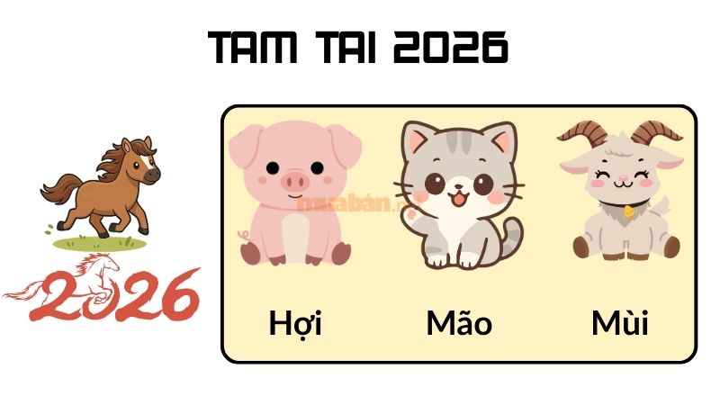 Tuổi 1995 làm nhà năm 2026: Ngày đẹp, lưu ý và cách hóa giải Tuổi Hợi 1995 sẽ gặp hạn Tam tai trong năm 2025