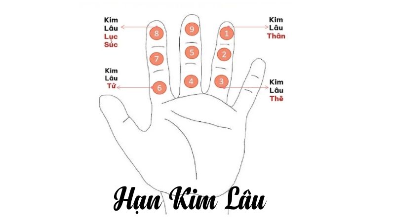 Tuổi 1995 làm nhà năm 2026: Ngày đẹp, lưu ý và cách hóa giải Tuổi Hợi 1995 sẽ không gặp hạn Kim Lâu trong năm 2026