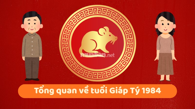 Tuổi 1984 làm nhà năm 2026: Ngày đẹp, lưu ý và cách hóa giải Tổng quan về tuổi Giáp Tý 1984