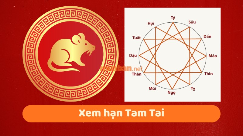 Tuổi 1984 làm nhà năm 2026: Ngày đẹp, lưu ý và cách hóa giải Xem hạn Tam Tai cho Giáp Tý 1984